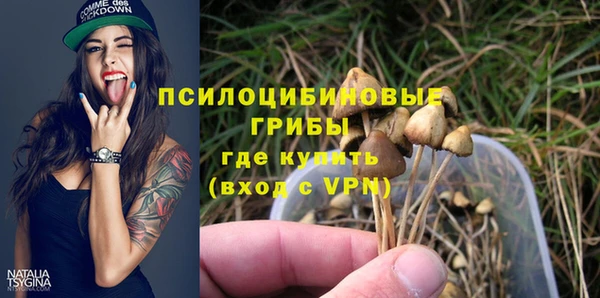 mdma Карпинск
