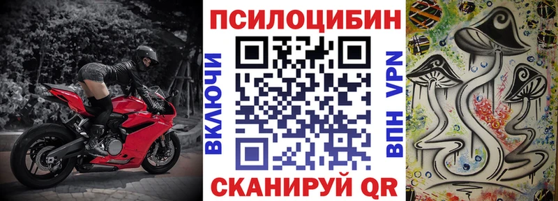 Галлюциногенные грибы Cubensis  Купить закладки  Горбатов 